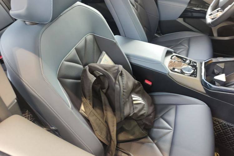 Used BMW X3 2025 xDrive30L Luxury Edition M Sport Package Right Front Seat