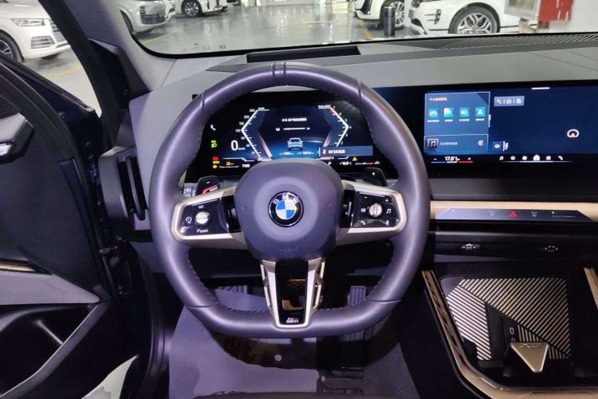 Used BMW X3 2025 xDrive30L Luxury Edition M Sport Package Steering Wheel