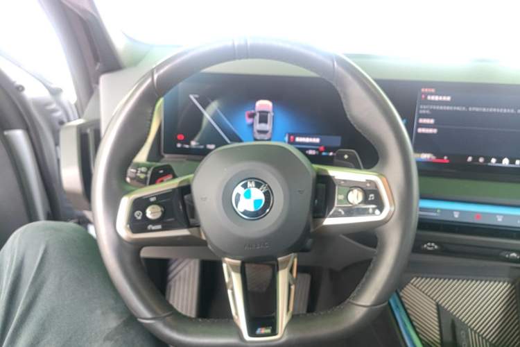 Used BMW X3 2025 xDrive30L Luxury Edition M Sport Package Steering Wheel