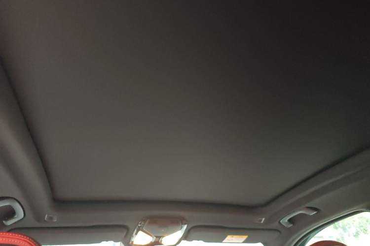 Used BMW X3 M 2021 X3 M Competition Edition Headliner
