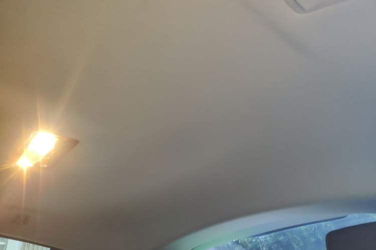 Used BMW X4 2014 xDrive20i X Design Package Headliner
