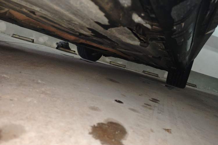 Used BMW X4 2014 xDrive20i X Design Package Chassis Rear Right