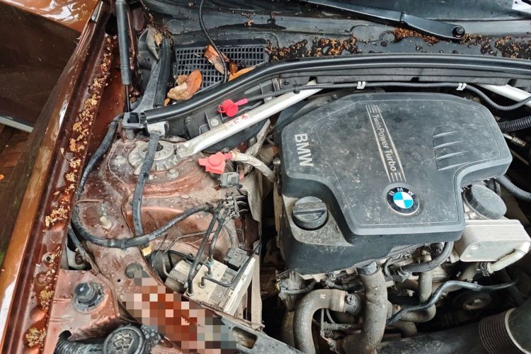 Used BMW X4 2014 xDrive20i X Design Package Engine Bay Right