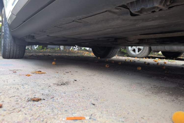 Used BMW X4 2014 xDrive20i X Design Package Chassis Front Right