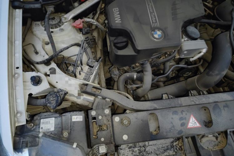 Used BMW X4 2014 xDrive20i X Design Package Engine Bay Right
