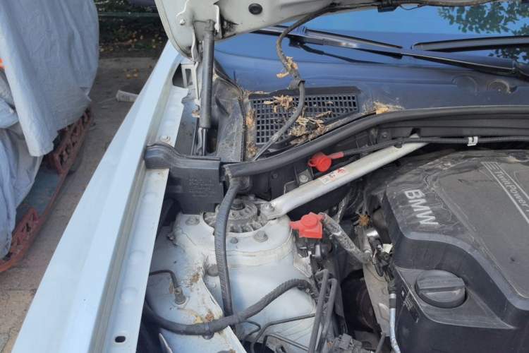 Used BMW X4 2014 xDrive20i X Design Package Engine Bay Right