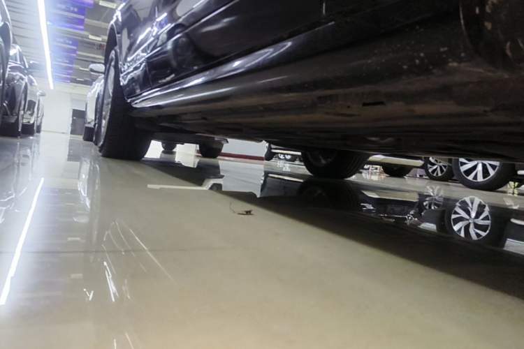 Used BMW X4 2016 xDrive20i M Sport Edition Right Side Sill