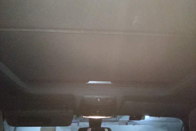 Used BMW X4 2016 xDrive20i M Sport Edition Headliner