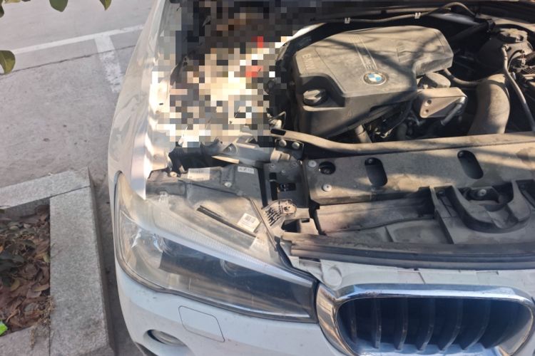 Used BMW X4 2016 xDrive20i M Sport Edition Engine Bay Right