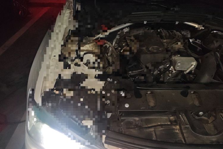 Used BMW X4 2016 xDrive20i M Sport Edition Engine Bay Right