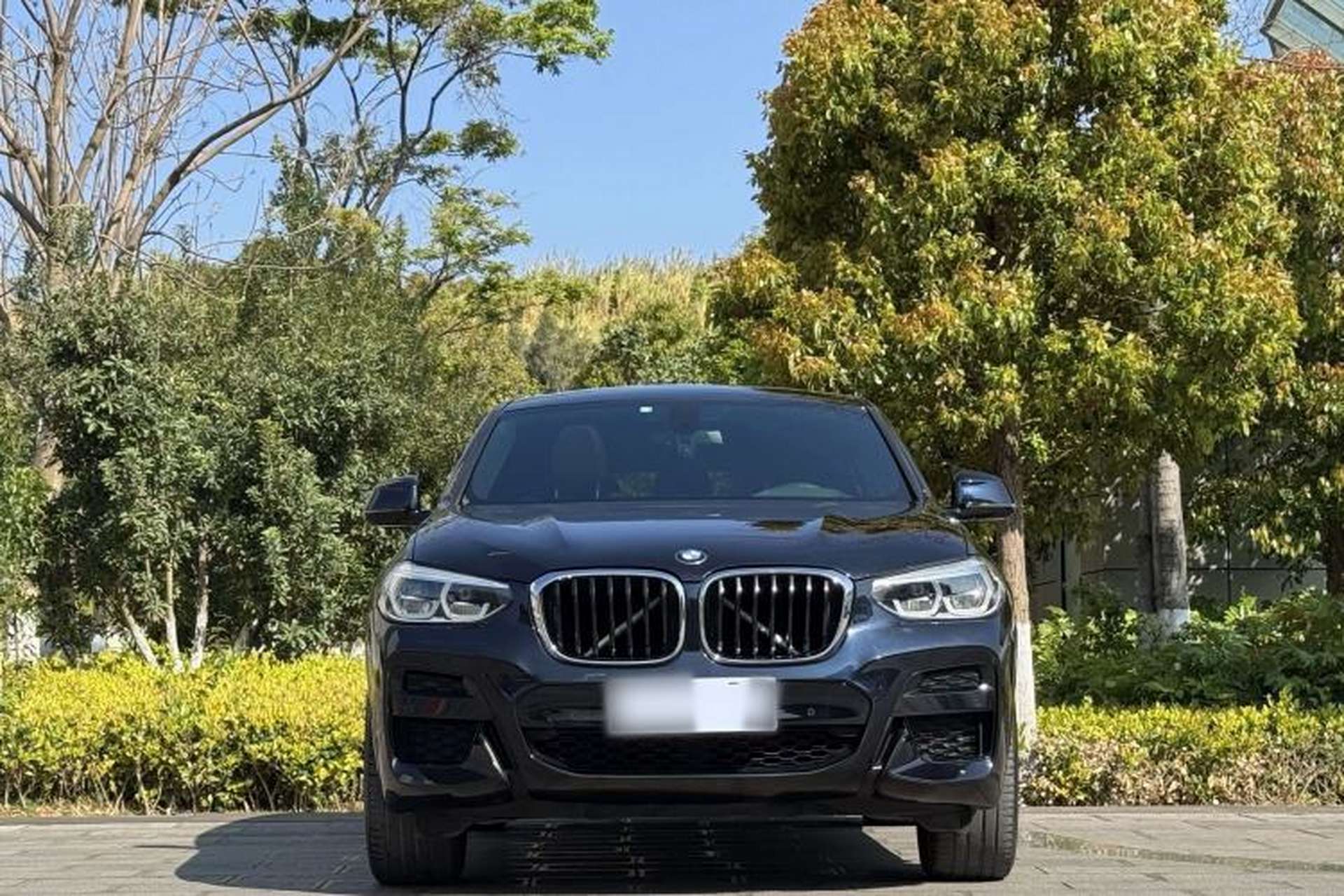 Used BMW X4 2019 xDrive25i M Sport Package Exterior 1