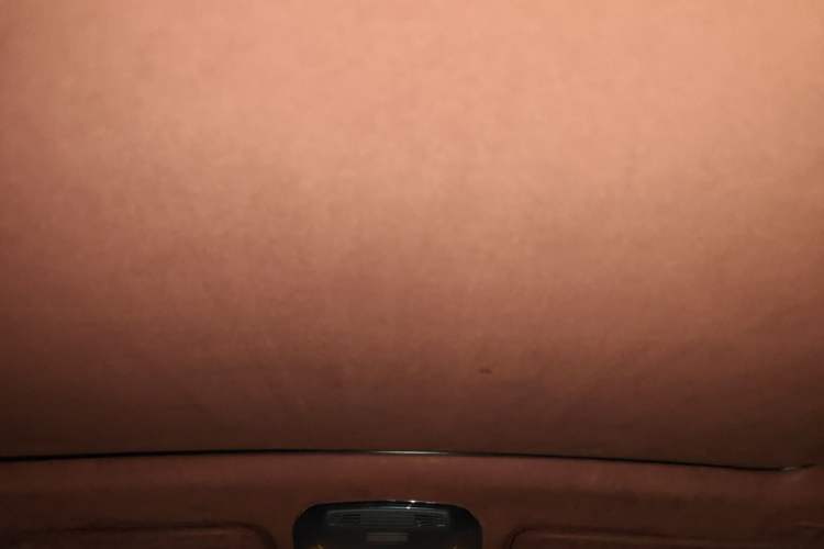Used BMW X4 2019 xDrive25i M Sport Package Headliner
