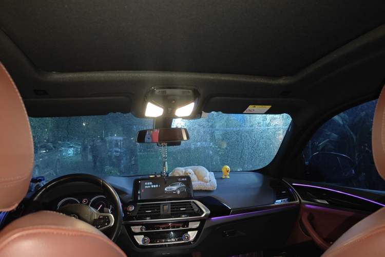 Used BMW X4 2019 xDrive25i M Sport Package Headliner