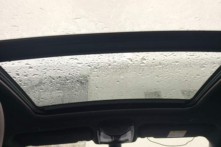 Used BMW X4 2019 xDrive25i M Sport Package Headliner