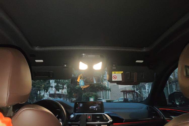 Used BMW X4 2019 xDrive25i M Sport Package Headliner