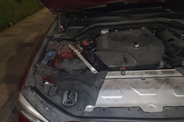 Used BMW X4 2019 xDrive30i M Sport Package Engine Bay Right