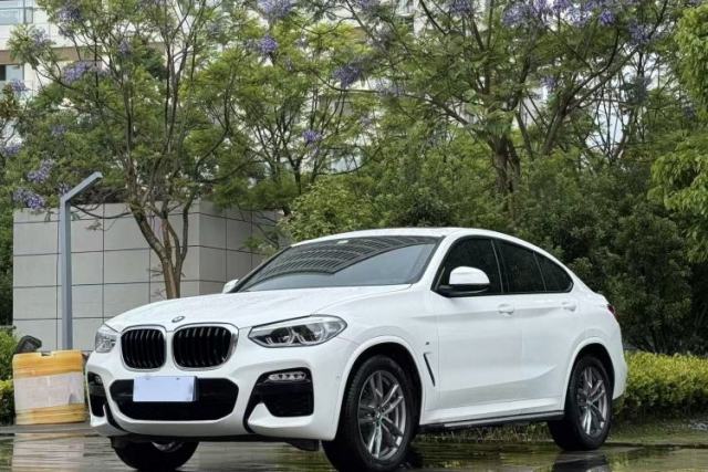 Used BMW X4 2019 xDrive25i M Sport Package