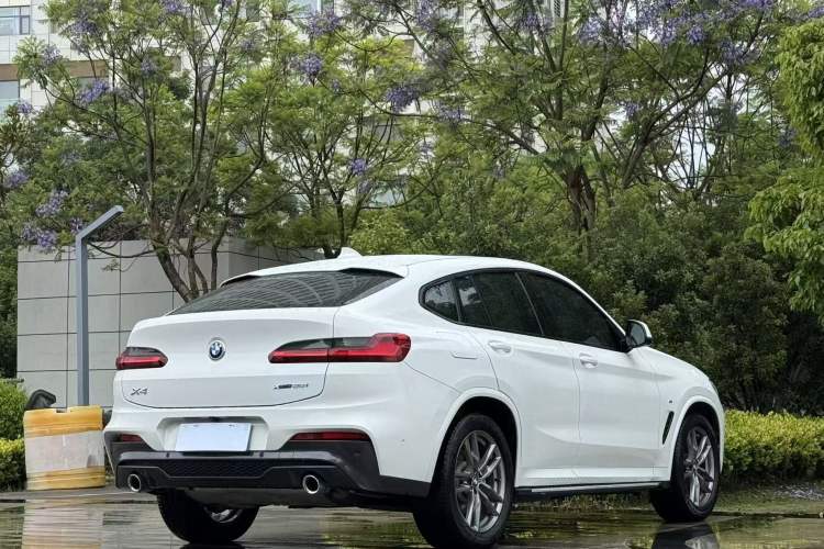 Used BMW X4 2019 xDrive25i M Sport Package Exterior 5
