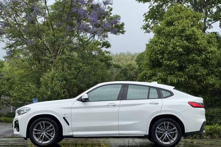 Used BMW X4 2019 xDrive25i M Sport Package Exterior 6