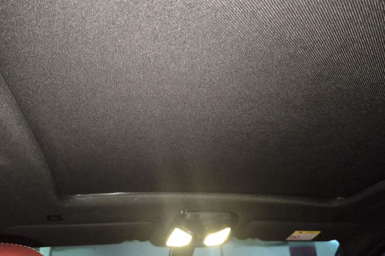 Used BMW X4 2019 xDrive25i M Sport Package Headliner