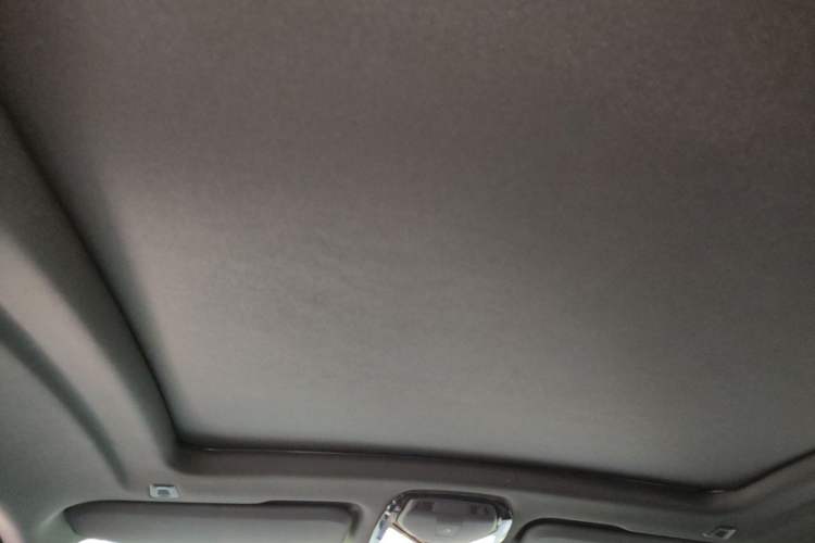 Used BMW X4 2020 xDrive25i M Sport Package Headliner
