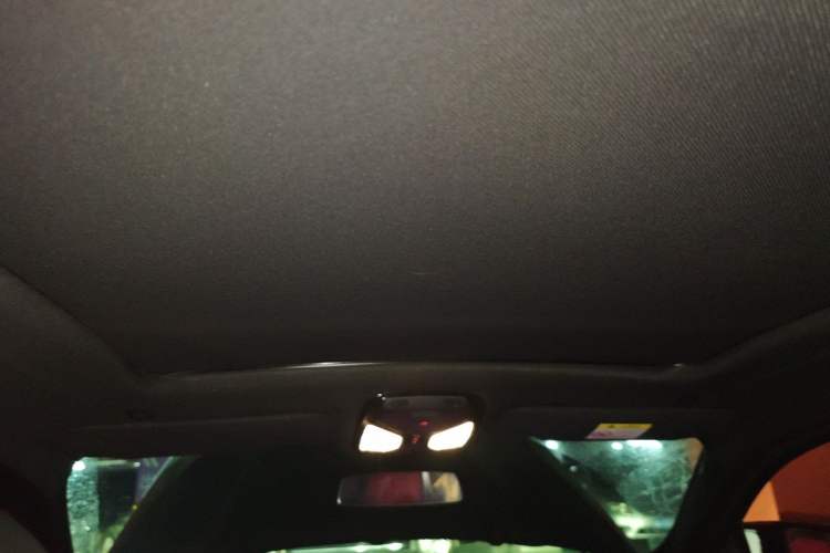 Used BMW X4 2020 xDrive30i M Sport Package Headliner