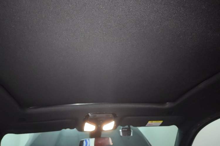 Used BMW X4 2020 xDrive25i Black Knight Limited Edition Headliner