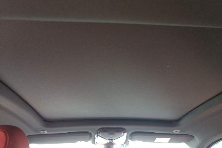 Used BMW X4 2020 xDrive25i Black Knight Limited Edition Headliner