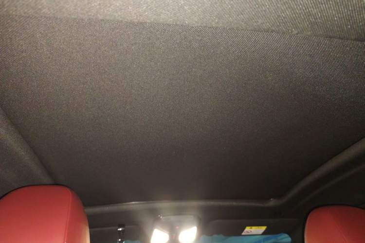 Used BMW X4 2020 xDrive25i M Sport Package Headliner
