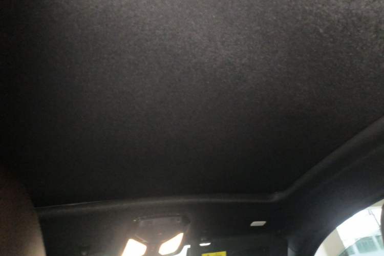 Used BMW X4 2020 xDrive25i M Sport Package Headliner