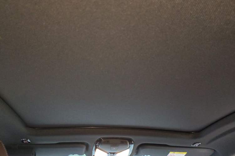 Used BMW X4 2020 xDrive30i M Sport Package Headliner