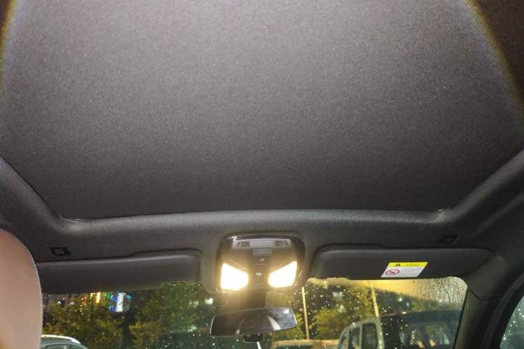 Used BMW X4 2020 xDrive25i M Sport Package Headliner