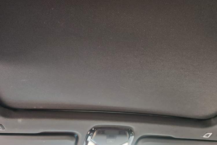 Used BMW X4 2020 xDrive25i M Sport Package Headliner