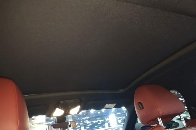 Used BMW X4 2020 xDrive25i M Sport Package Headliner