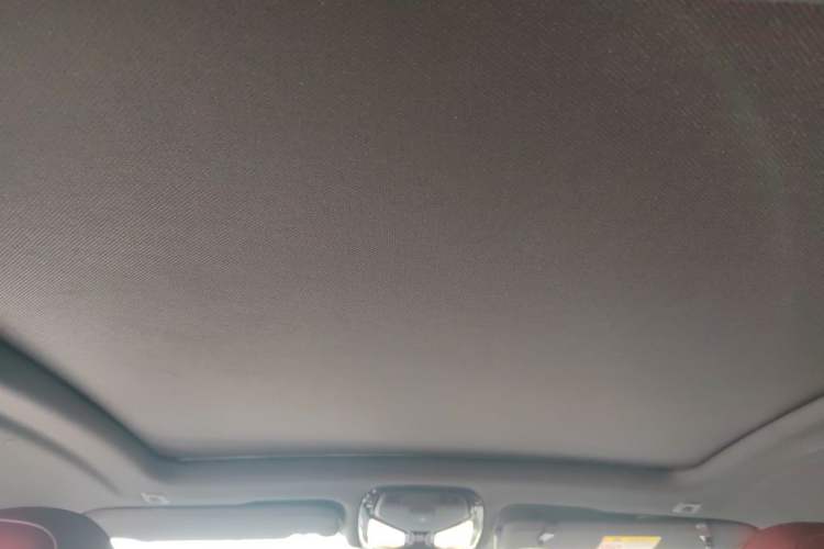 Used BMW X4 2020 xDrive25i M Sport Package Headliner
