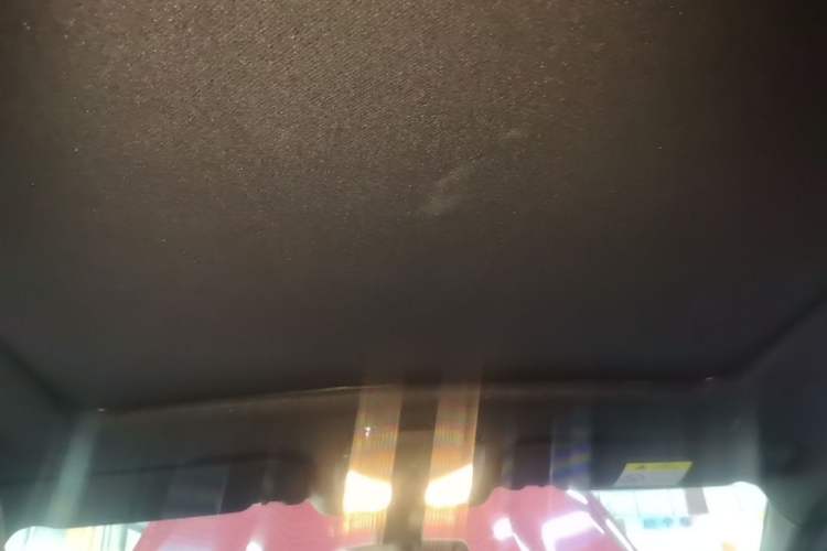 Used BMW X4 2020 xDrive25i M Sport Package Headliner