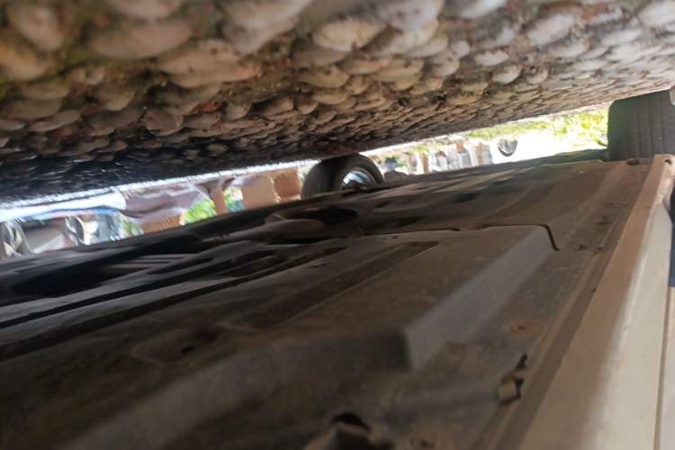 Used BMW X4 2020 xDrive25i M Sport Package Chassis Rear Left