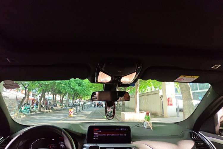 Used BMW X4 2020 xDrive25i M Sport Package Headliner