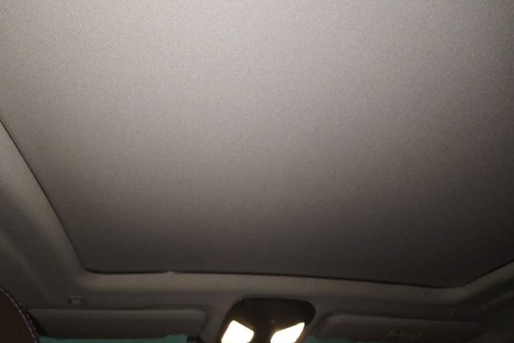Used BMW X4 2021 Restyled xDrive 25i M Sport Package Headliner