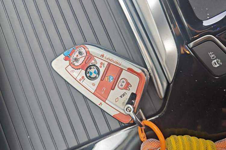 Used BMW X4 2021 Restyled xDrive 25i M Sport Package Vehicle Key
