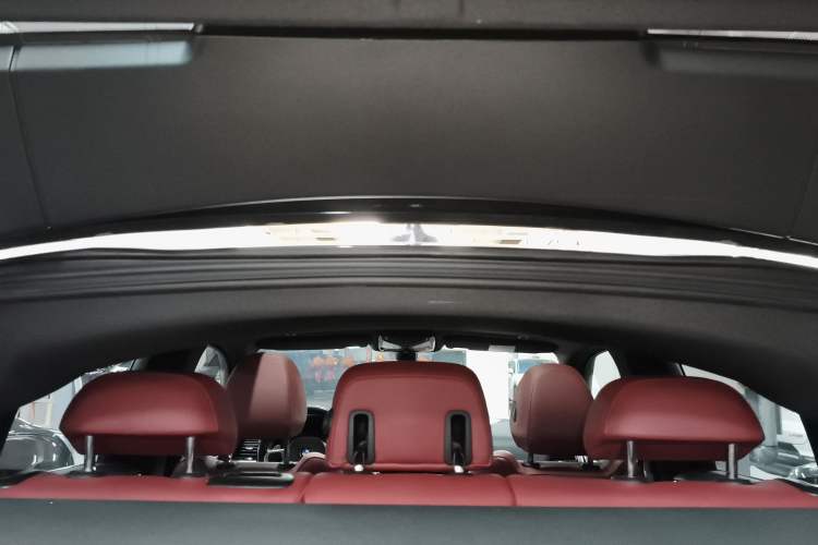 Used BMW X4 2021 Restyled xDrive 30i M Sport Night Edition Package Headliner