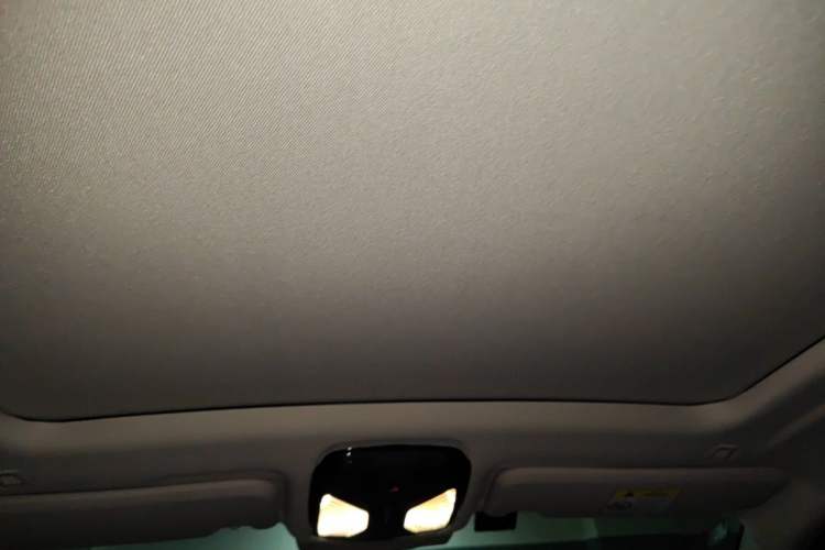 Used BMW X4 2021 Restyled xDrive 25i M Sport Package Headliner
