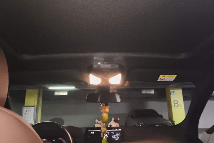 Used BMW X4 2021 xDrive 25i M Sport Night Edition package Headliner