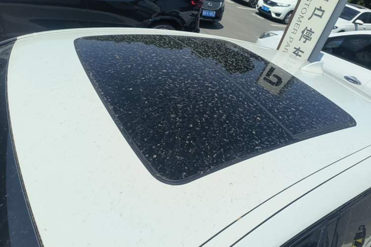 Used BMW X4 2021 xDrive 25i M Sport Package Roof