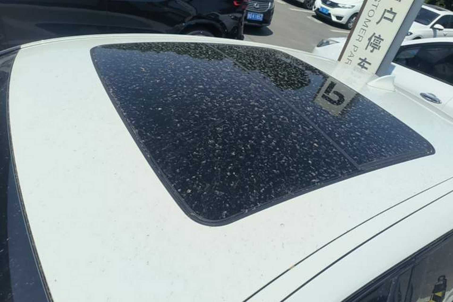 Used BMW X4 2021 xDrive 25i M Sport Package Roof