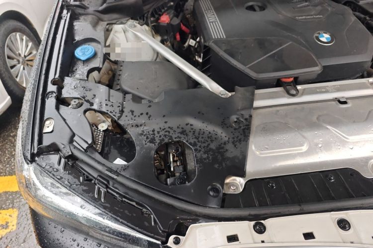 Used BMW X4 2022 xDrive 25i M Sport Package Engine Bay Right