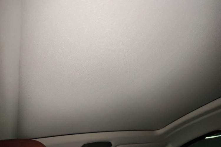 Used BMW X4 2022 xDrive 30i M Sport Package Headliner