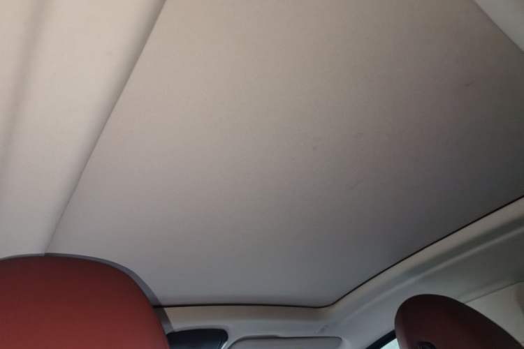Used BMW X4 2022 xDrive 25i M Sport Package Headliner