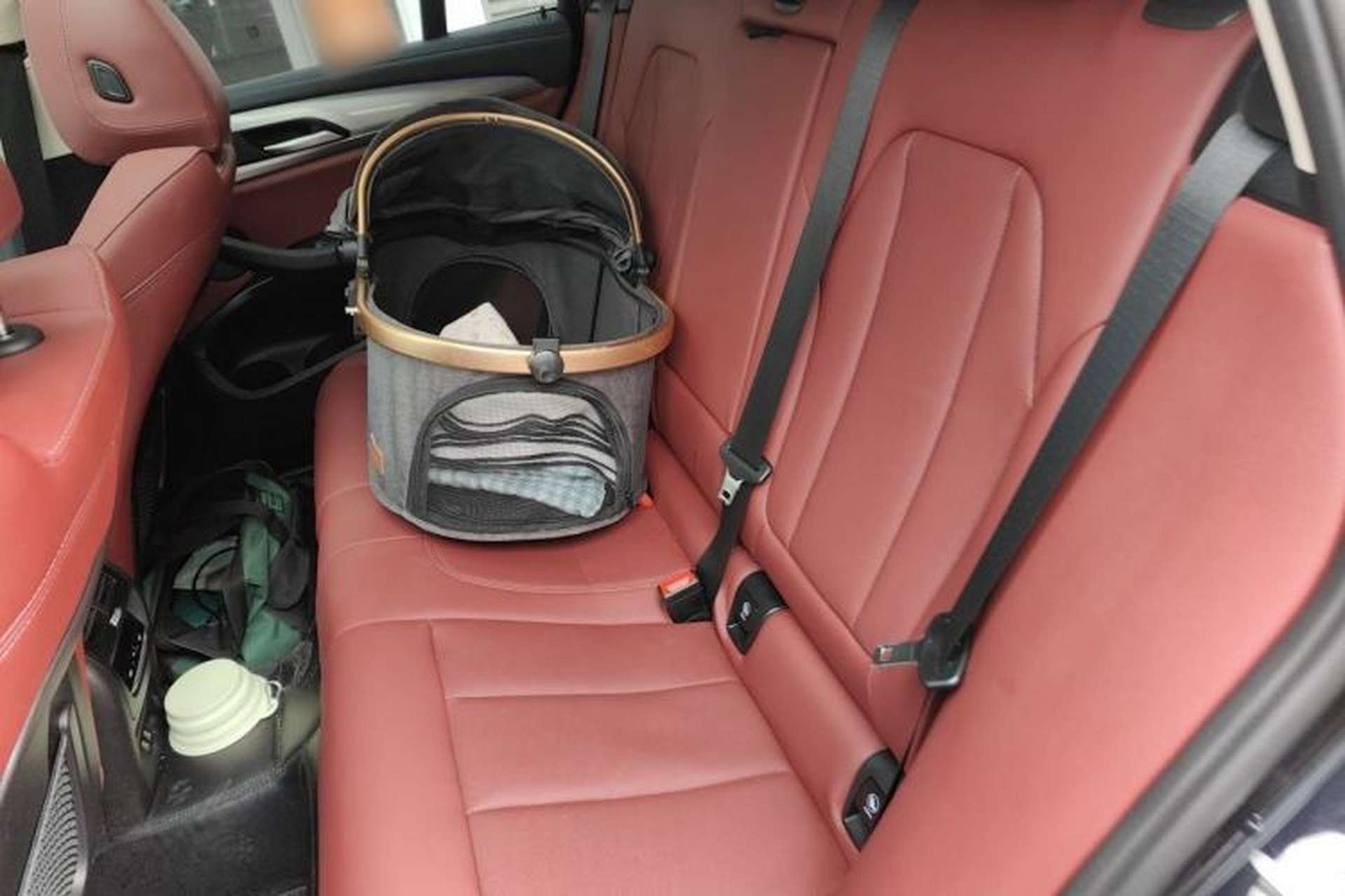 Used BMW X4 2022 xDrive 25i M Sport Package Left Rear Seat