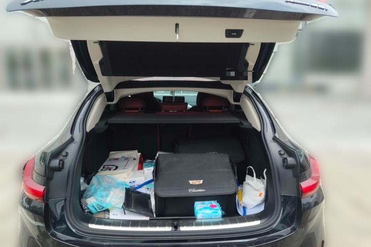 Used BMW X4 2022 xDrive 25i M Sport Package Trunk